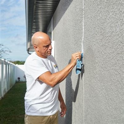 how to clean plaster walls before painting